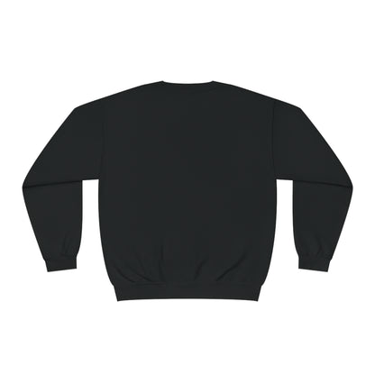 Sweatshirt Dark color (money)